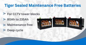 Tiger Sealed Maintenance Free Batteries 