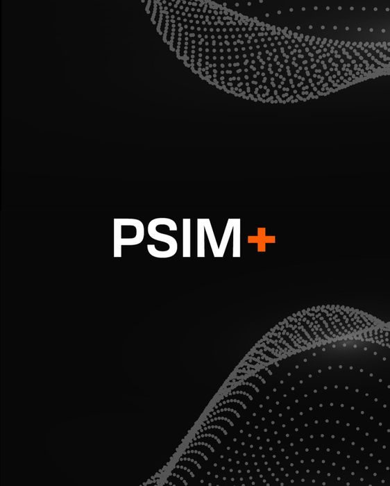 PSIM+