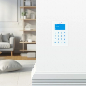 Wireless Security Ecosystem & Interfaces