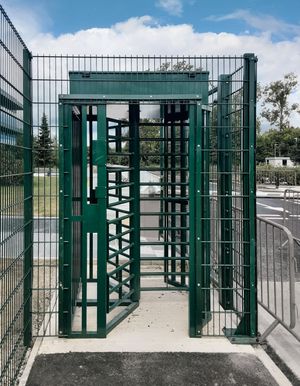 LPS1175 Platinum Turnstile