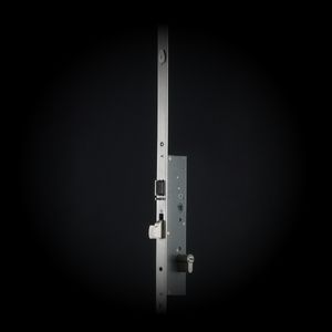 Multipoint Locks