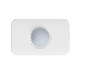 Motion Sensor