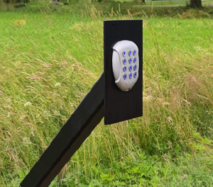 Reader/Intercom Posts