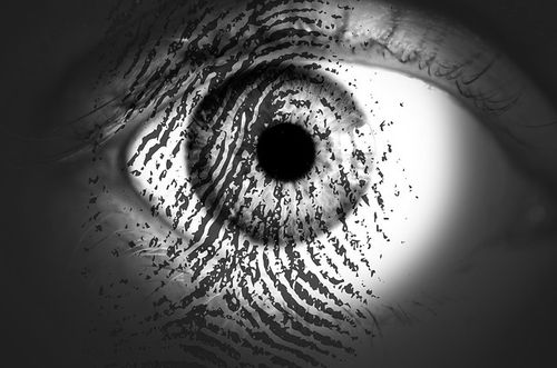 Cyber & Information Security