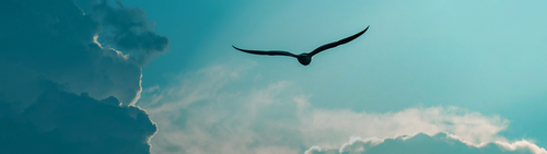 Managed Detection and Response