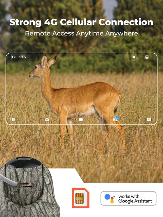 Ranger 4K - Covert/Wildlife Security Camera