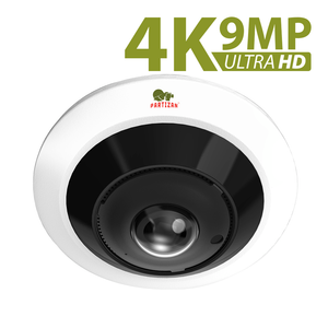 Panoramic IP camera IPF-5SP 4K