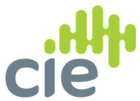 Company name - CIE Group