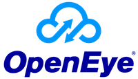Company name - OpenEye