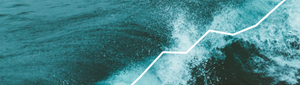 A wave in cyber: The ascent of cyber security as an essential UK occupation
