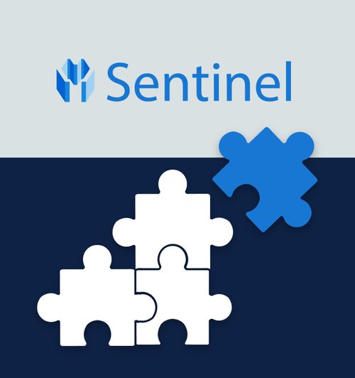 Reconeyez announces branded integration with the Sentinel
