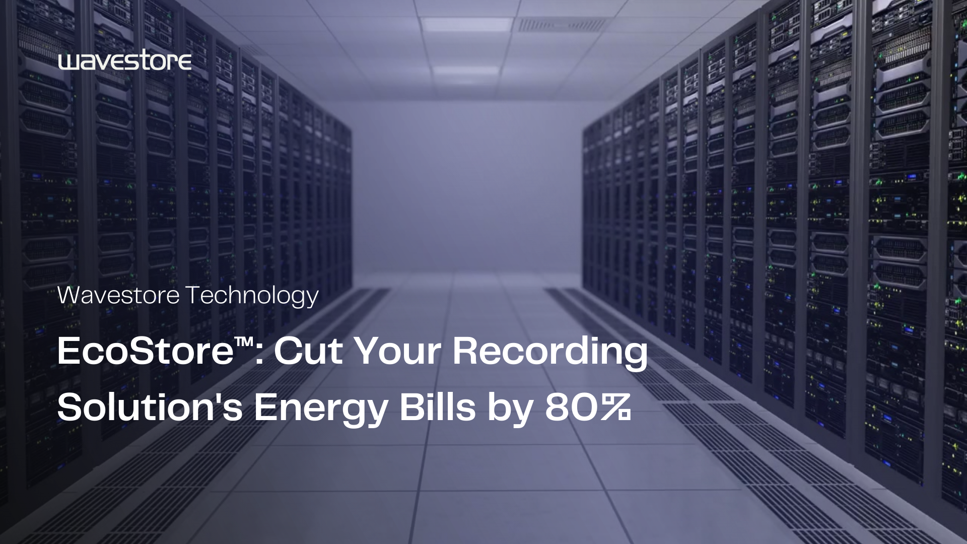 Maximize Hard Drive Life and Minimize Costs with Wavestore’s EcoStore™: Save 80% on Video System Energy Costs