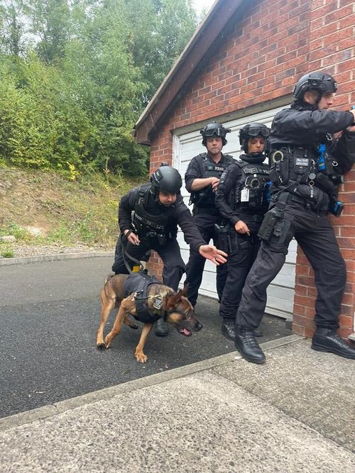 Defence Composites Canine Armour