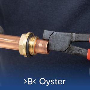 >B< Oyster