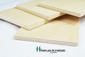 Poplar Plywood