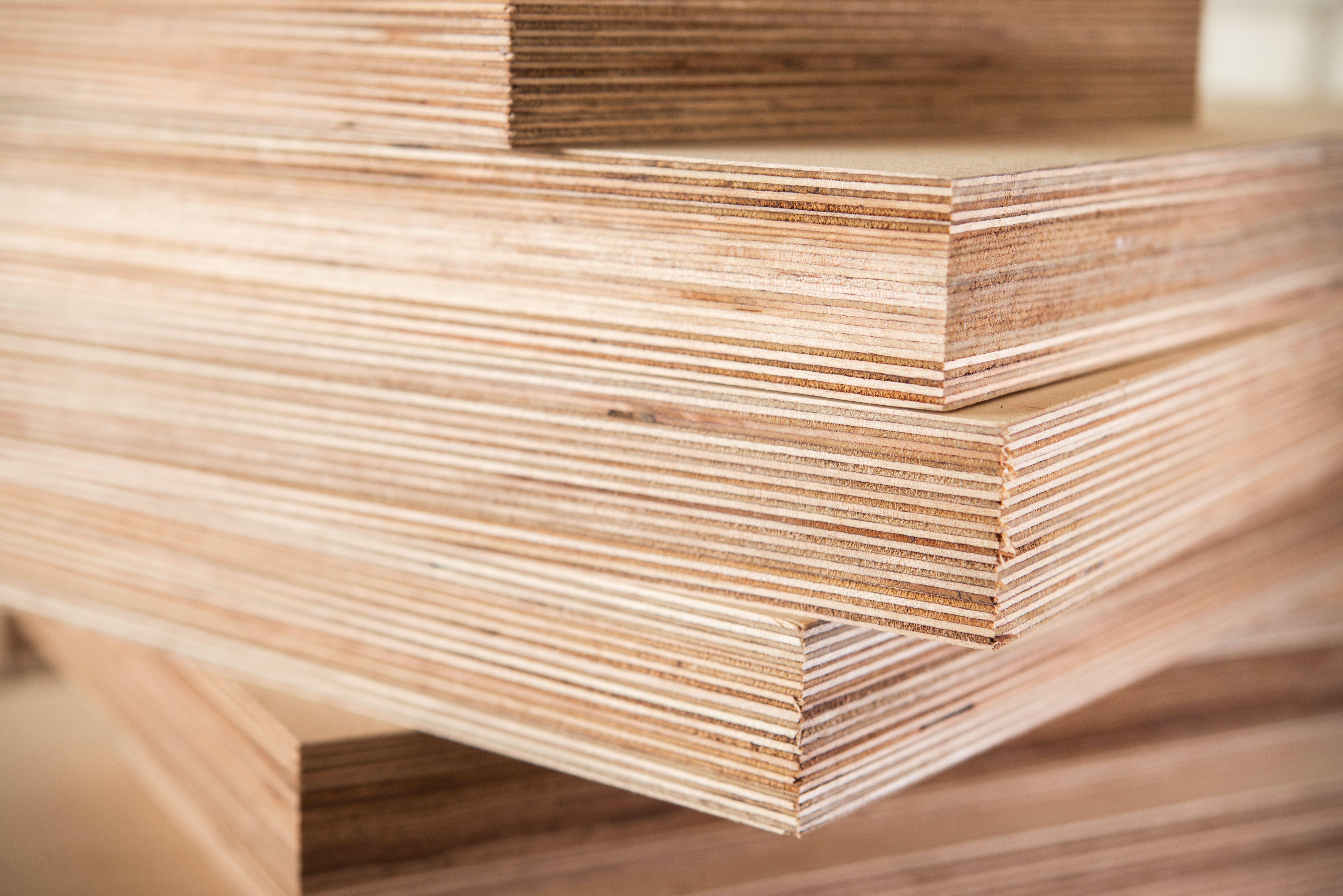 Birch Plywood