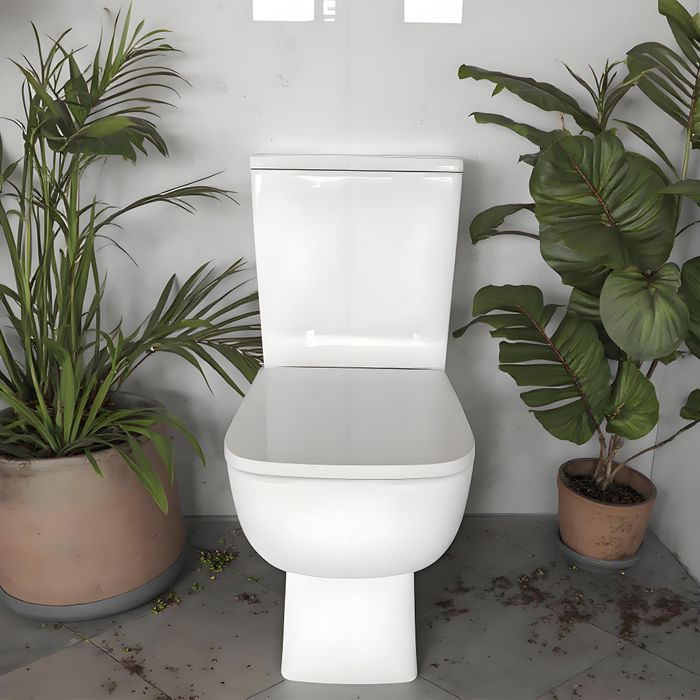 2205A 550mm COMPACT TOILET Rimless open back close coupled toilet