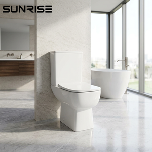 2205A 550mm COMPACT TOILET Rimless open back close coupled toilet