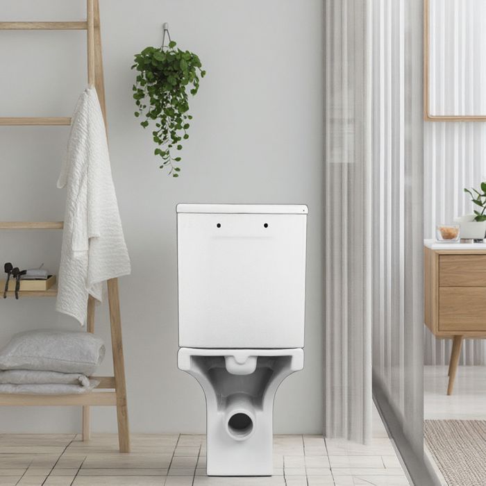 Floor Mounted Rimless WC Toilet | Ceramic Toilet Bowl Sanitary Ware Supplier Close Coupled WC Rimless - Open Back