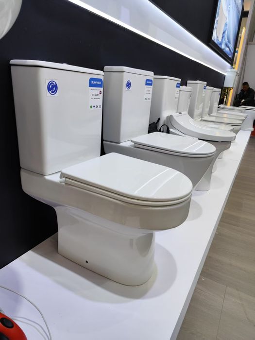 European Standard Ceramic Toilet WC | Vortex Flush Two Piece Toilet | P-Trap Bathroom Toilet