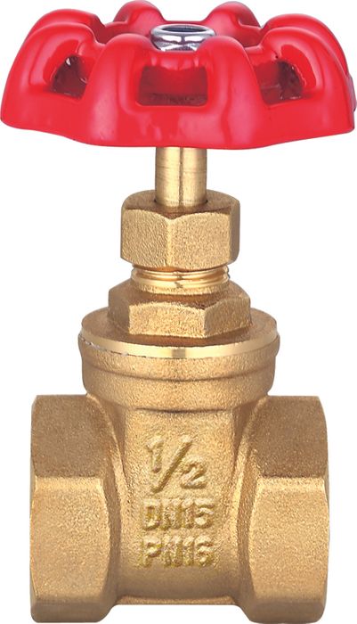LL4030 16 Bar Brass Gate Valves