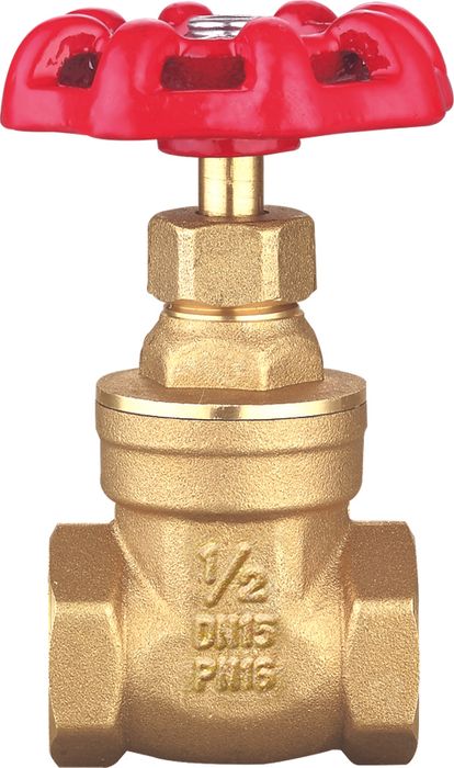 LL4031 Cast Iron Handle Female X Female 4 Inch Brass Gate Valve