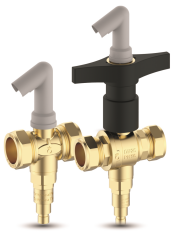Anti-freeze valve