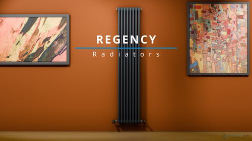 Regency Classic & Modern Radiators in Multiple Sizes & Colours