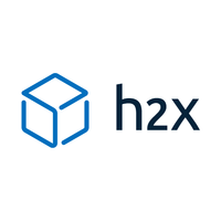 Company name - H2X