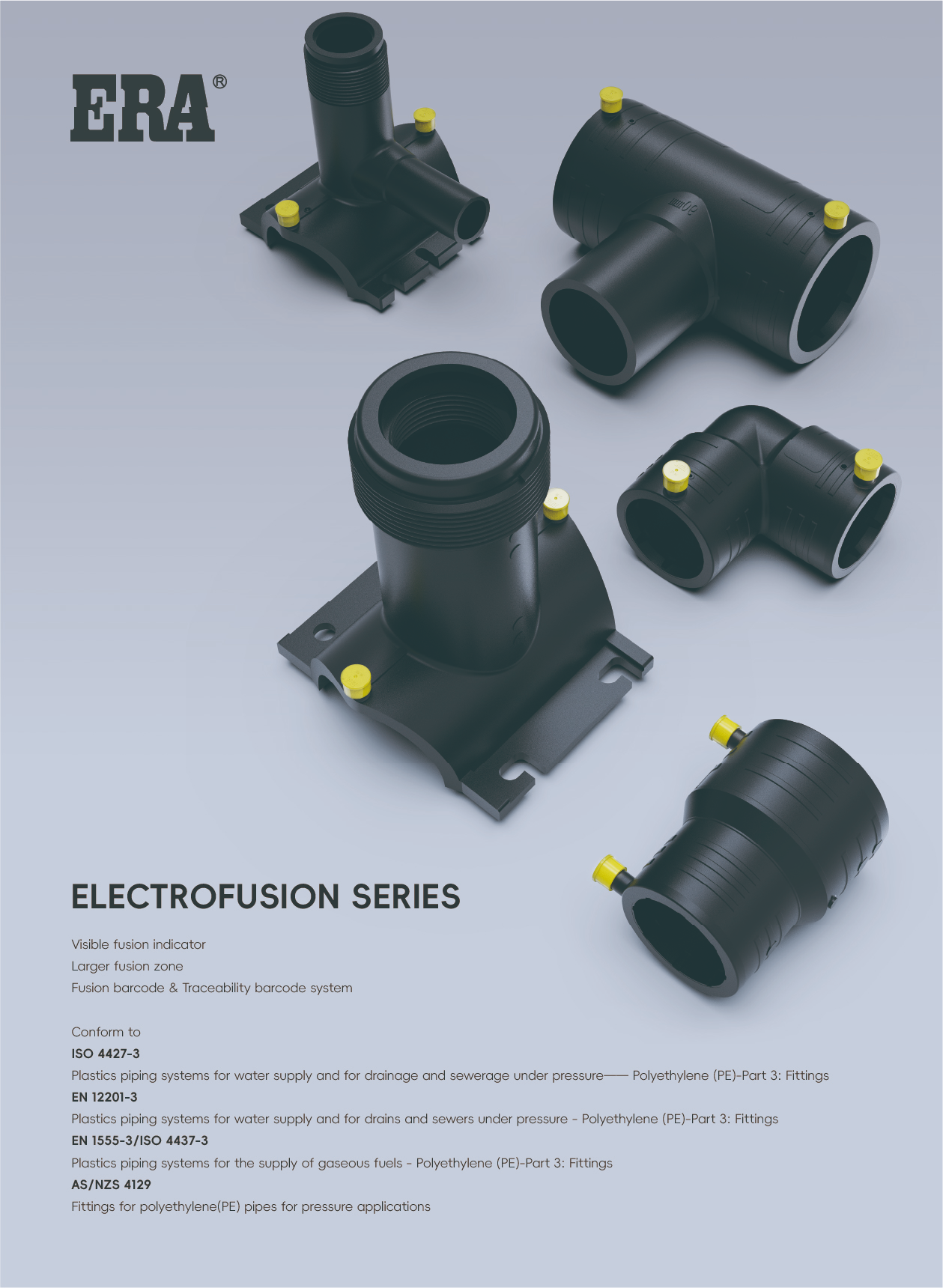 Cover image - ERA PIPING (ZHEJIANG) CO., LTD