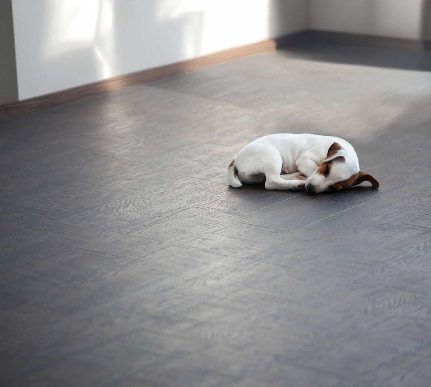 Cover image - First Trace Heating Direct Ltd