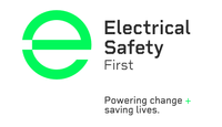 Company name - Electrical Safety First