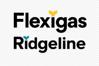 Company name - Flexiridge Ltd