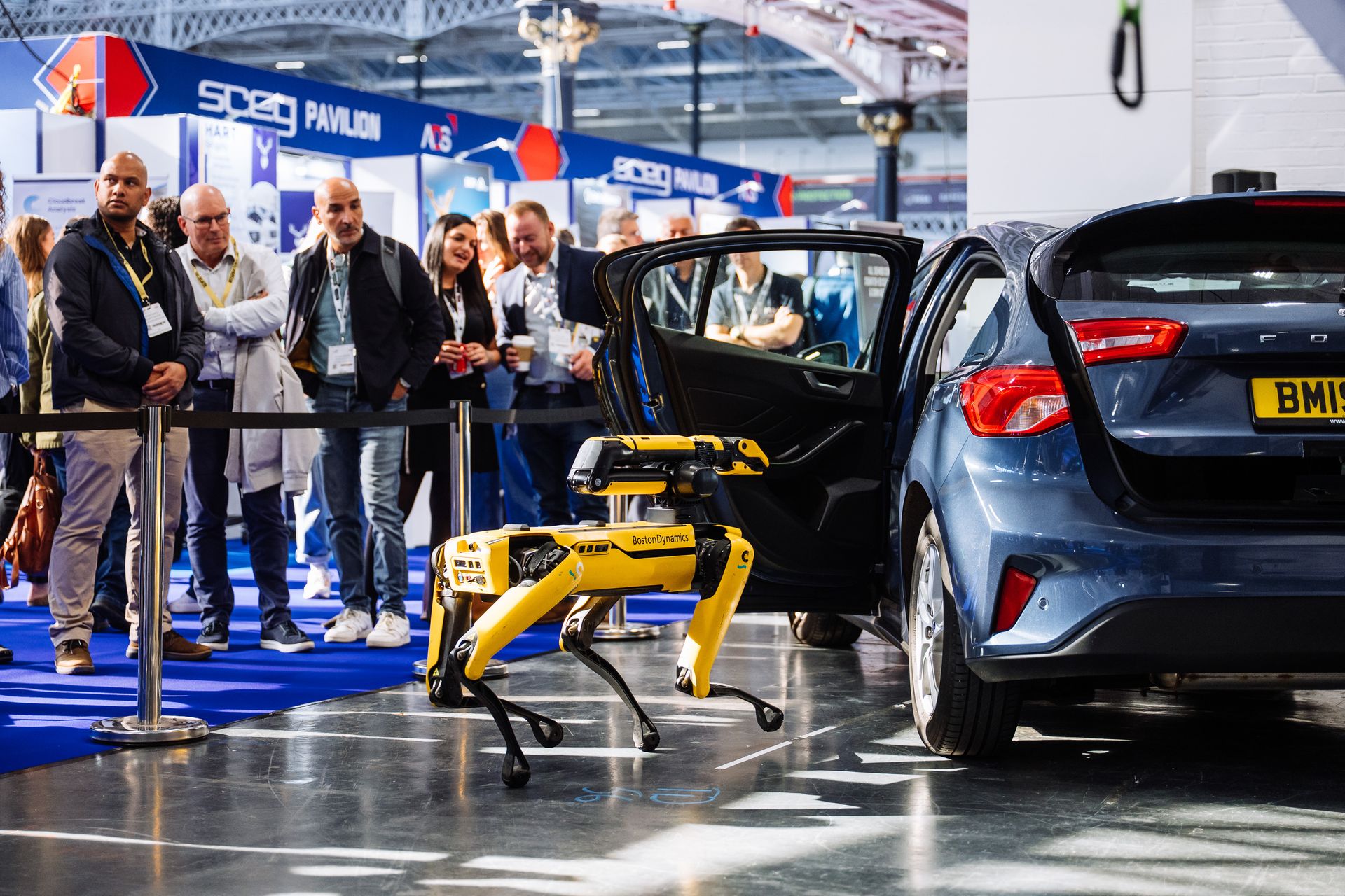 Robot inspecting car