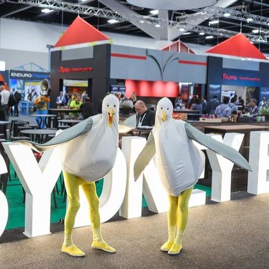 Sydney Build 4