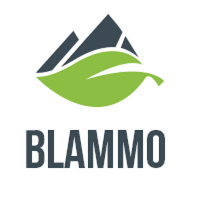Company name - Blammo
