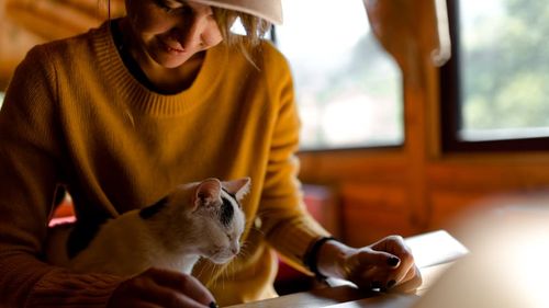 Pets at Home gets tails wagging with 1-hour Click & Collect service