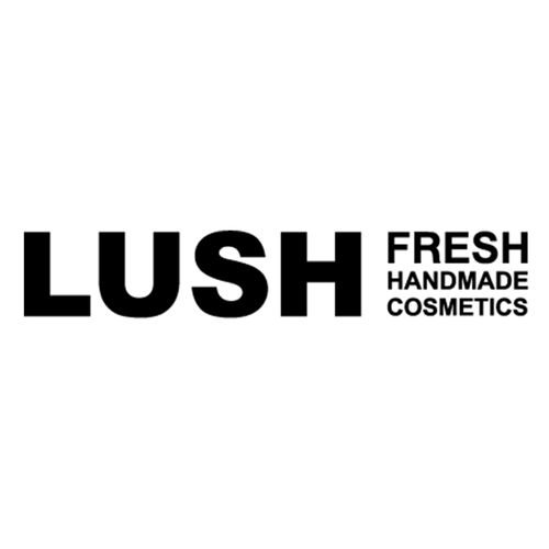Storeforce the north face discount