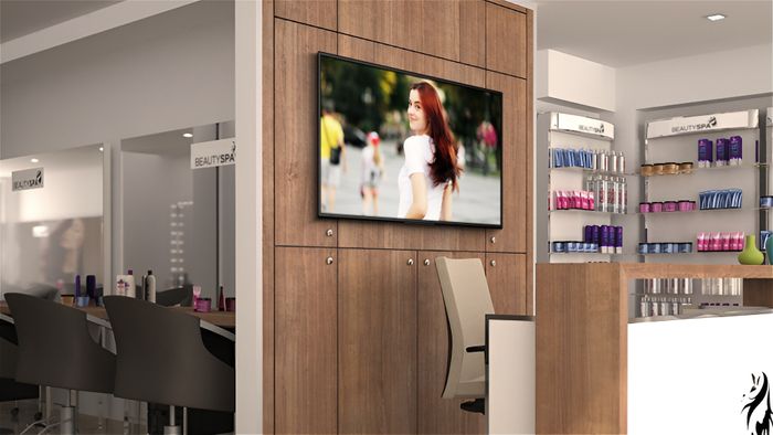 BRAVIA BZ40L Series