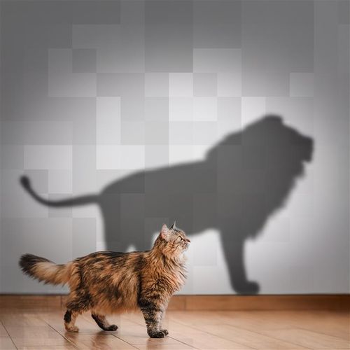 Cyber Incident Baseline and Readiness