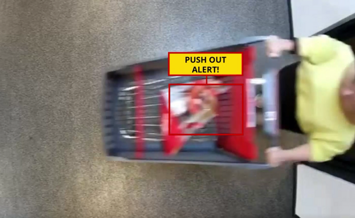 Automated Pushout Theft Detection