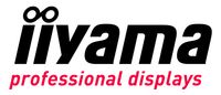 Company name - Iiyama International