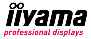Iiyama International