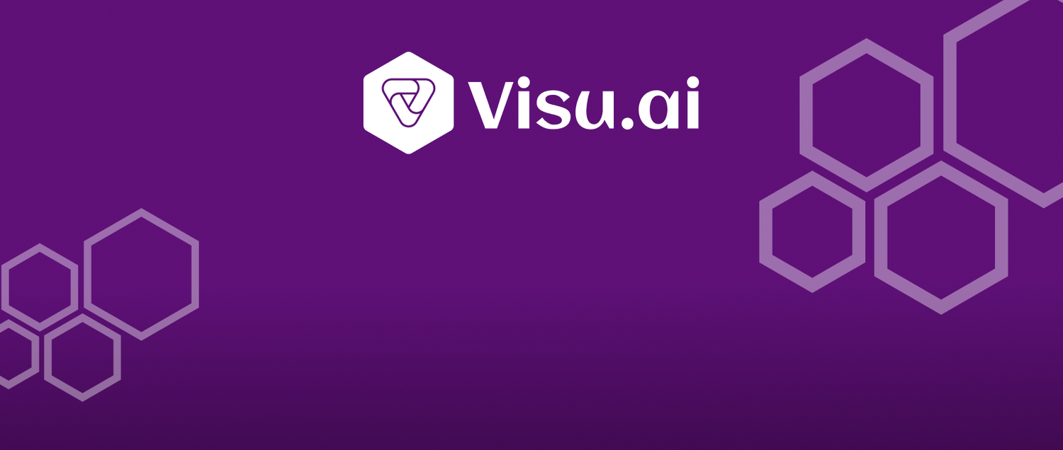 Visu ai
