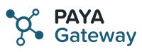 Company name - PAYA Group
