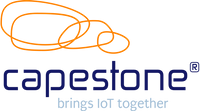 Company name - Capestone