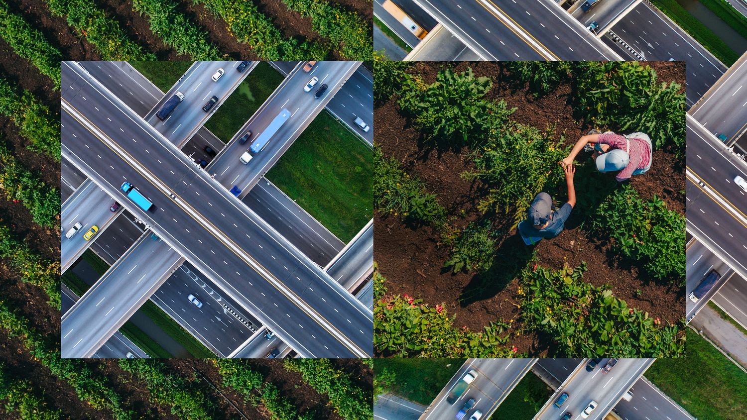 Cover image - Chep UKI