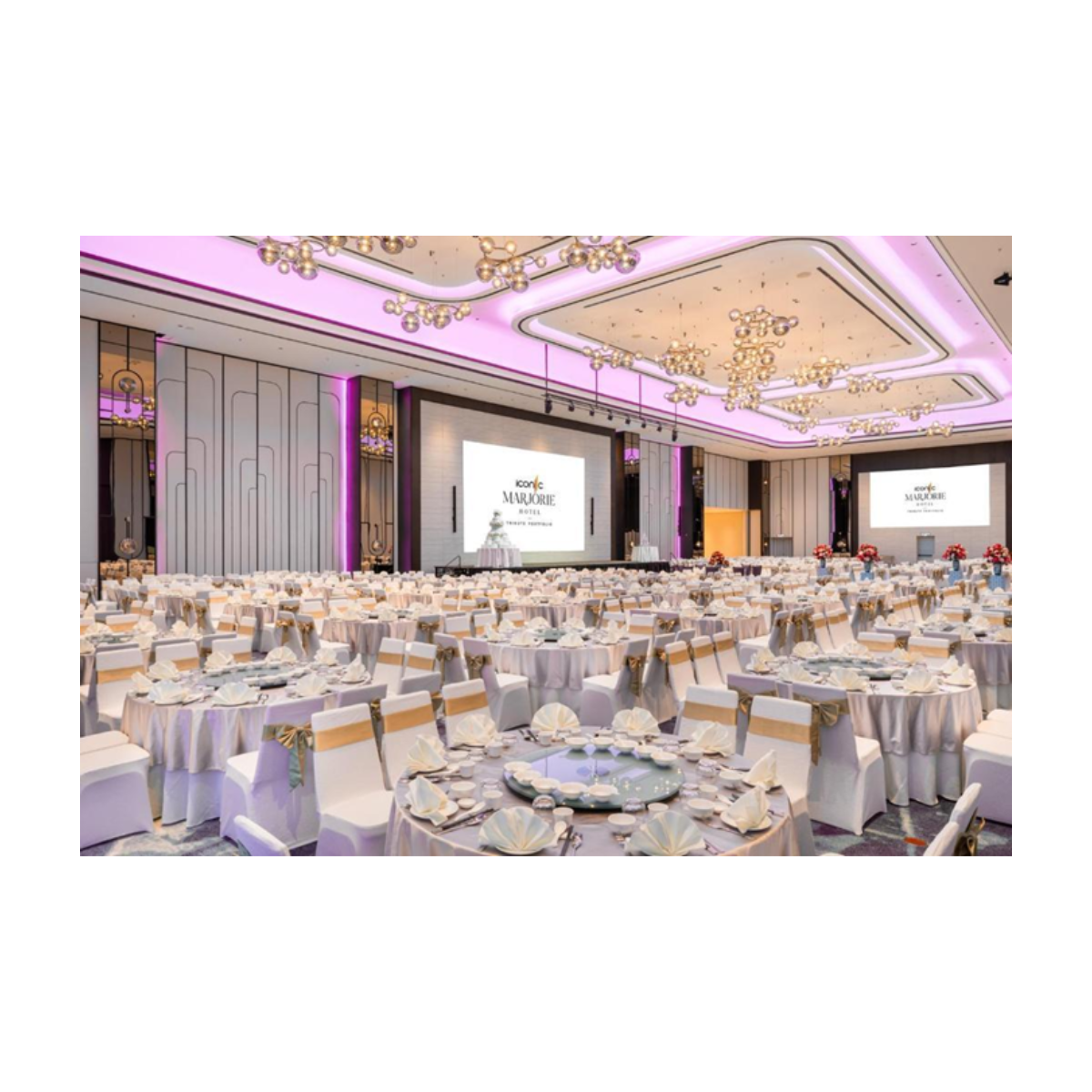 ideal systems product