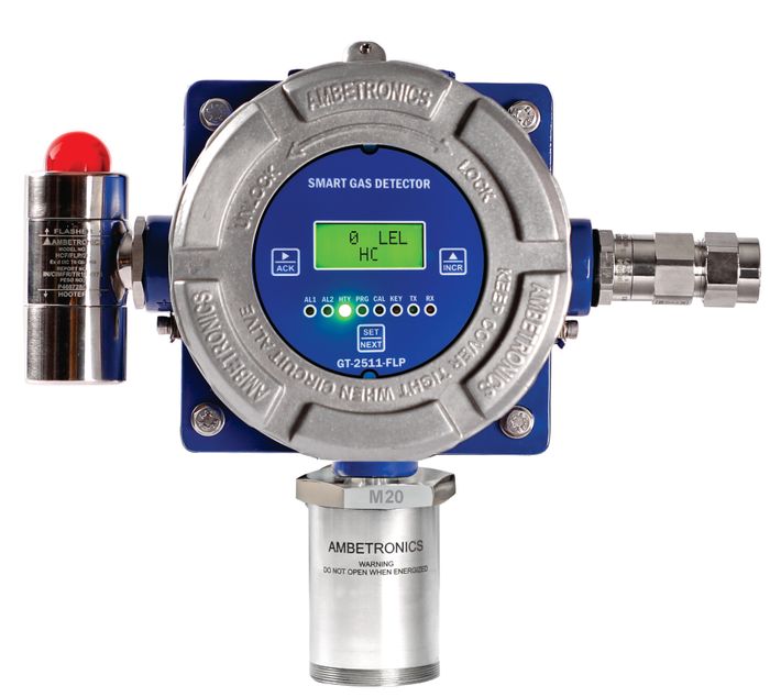 GT-2511-FLP Gas Detector
