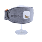 AP22102 Series - Trifold FFP2 Respirator